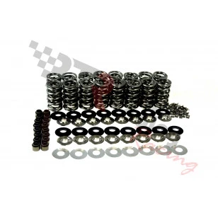 BTR .660" Dual Platinum Valve Spring Kit| (LT4 Engines)