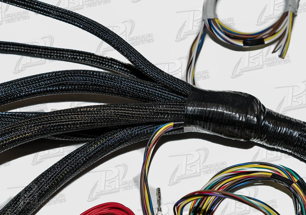 PSI Conversion GEN III LS (24X) DRIVE-BY-WIRE *8 PIN THROTTLE* MANUAL STANDALONE HARNESS - Image 7